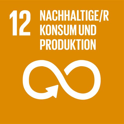 Die 17 Nachhaltigkeitsziele der Vereinten Nationen – Nr.12